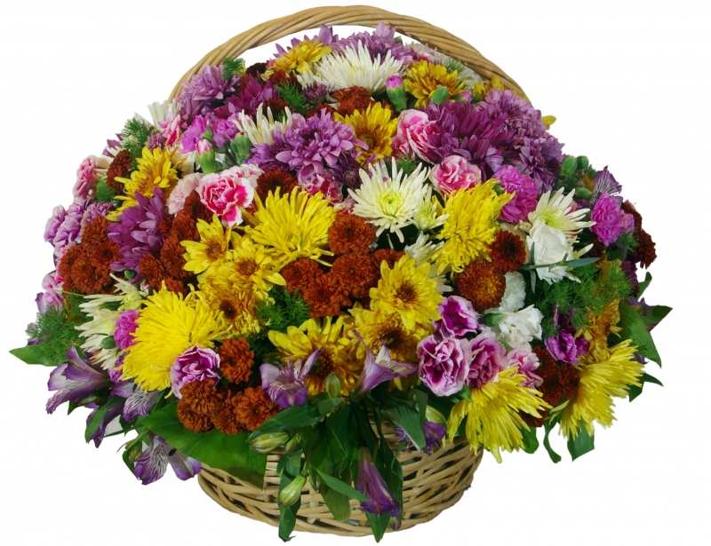 Round wicker basket with chrysanthemums, cloves and Alstroemeria Round wicker basket with chrysanthemums, cloves and Alstroemeria