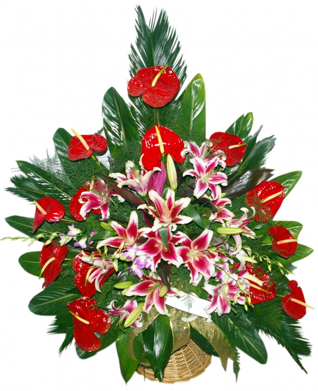 Olga(One-sided wicker basket) Olga(One-sided wicker basket)