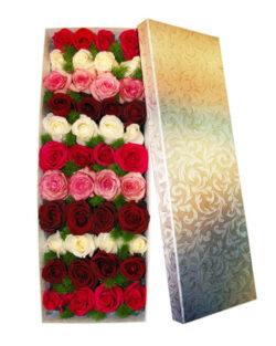 Mix Roses Box(Beautiful roses)
