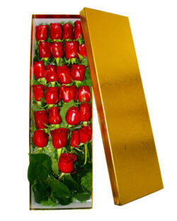 Box of Red Roses(high quality)