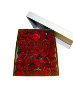 Red Rose Box(36 high quality roses)