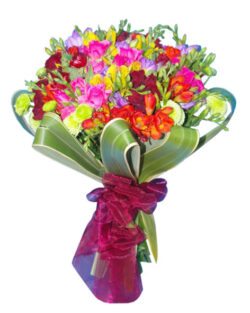 Colorful Mixed Bouquet(freesia and chrysanthemums)