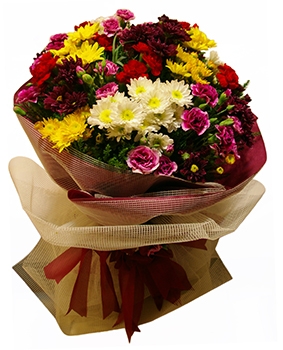 Mixed Bouquet(chrysanthemums and cloves)