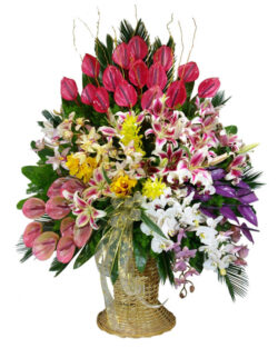 Colorful Premium Basket(orchid, lilium and anthurium)