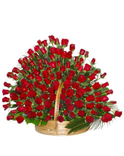 100Red RosesBasket(fast delivery)