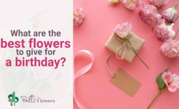 What are the best flowers to give for a birthday?