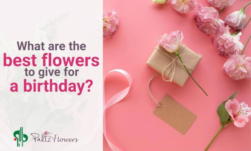 What are the best flowers to give for a birthday?