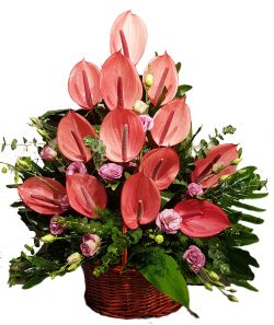 Anthurium & Lisianthus Elegance Basket